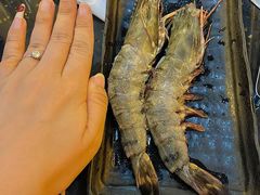 -熊出没日本烧肉放题