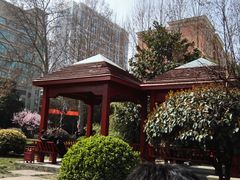 -西京医院