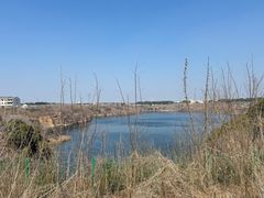 -长广溪湿地公园