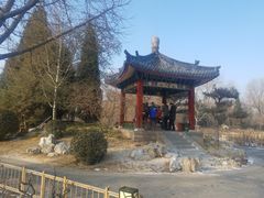 -迎泽公园