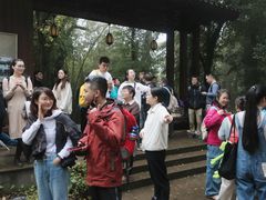 -西湖风景区十里琅珰-五云山