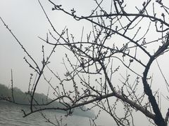 -西湖天地