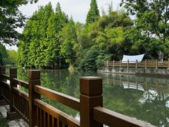 -桤木河湿地公园