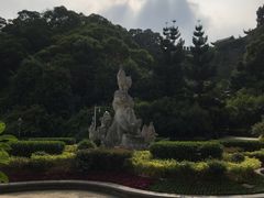 -金鸡山公园
