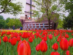 -长春公园(普阳街道)