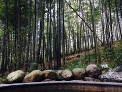 -江南天池高山汤泉城
