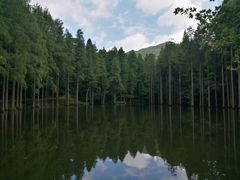 -波尔登森林公园