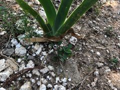 -蟠龙山长城景区