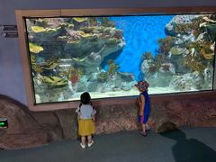 -福州罗源湾海洋世界旅游区