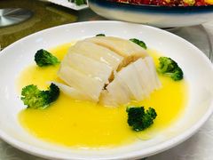 -丁老爷子苏香圆