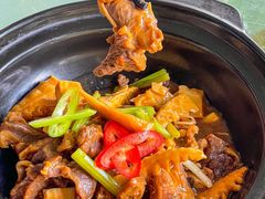 -兴隆槟榔园休闲农庄