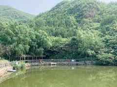 -双新垂钓园