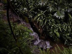 -腾冲洞山温泉村