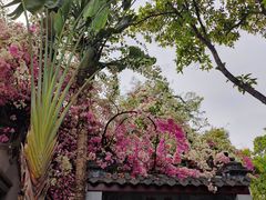 -深圳国际园林花卉博览园