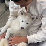 自从搬到古城工作室，终于回到人间生活