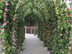 -叠溪松坪沟景区