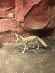 -Zoolung Zoolung动物主题公园(海信广场店)