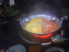 红颜花胶鸡锅-湊湊火锅·茶憩(石家庄万象城店)