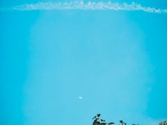 -缙云山景区