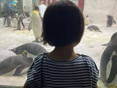 -大连圣亚海洋世界