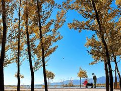 -野鸭湖国家湿地公园