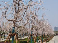 -上海交通大学(闵行校区)