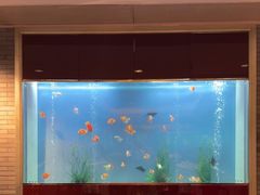 -阳澄湖费尔蒙酒店颐丰阁中餐厅(马鞍山西路店)