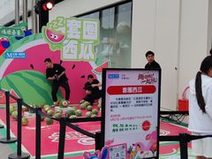 -红星美凯龙北京至尊MALL(东四环中路店)