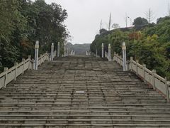 -铁山坪森林公园