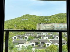 -舟山朱家尖绿城威斯汀度假酒店