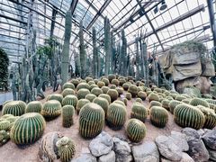 -南山植物园