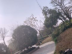 -成飞公园