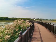 -天津东丽湖风景区