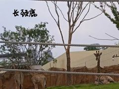 -武汉动物园