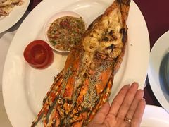 -Red Lobster
