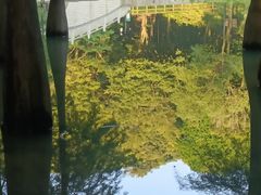 -广州市帽峰山景区