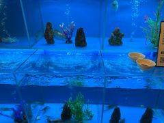 -怡咖啡·自助餐·西安香格里拉