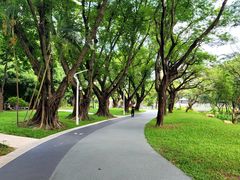 -人民公园(罗湖区)