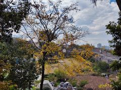 -蒋经国旧居
