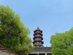 -绳金塔