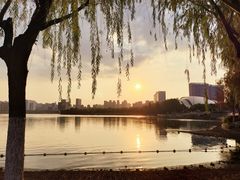 -天鹅湖体育公园