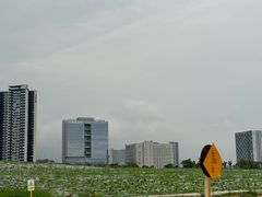 -光明小镇欢乐田园