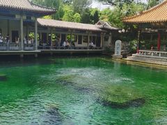 -趵突泉景区