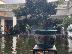 -东莞市可园博物馆