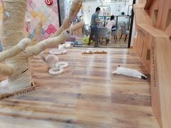 -袖虎·猫馆(体育西路店)