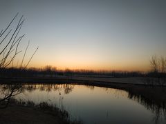 -东郊湿地公园