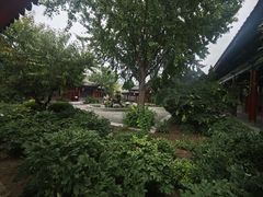 -有喜胶东小馆(太申祥和店)