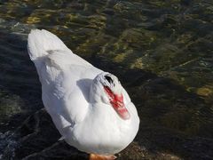 -三里河公园