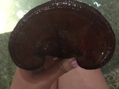 -汉拿山温泉度假酒店
