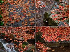 -九如山休闲旅游度假区